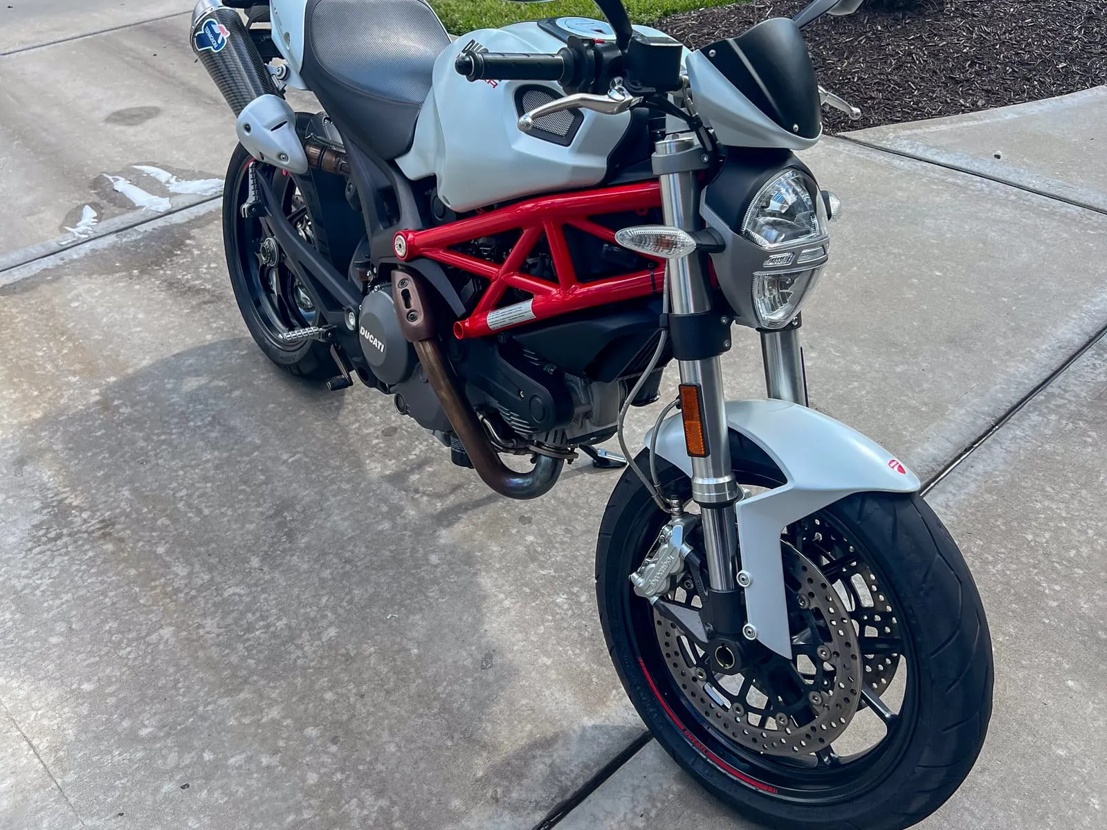 Ducati Monster motorcycle on its stand on a driveway, red trellis frame and engine cases cleaned