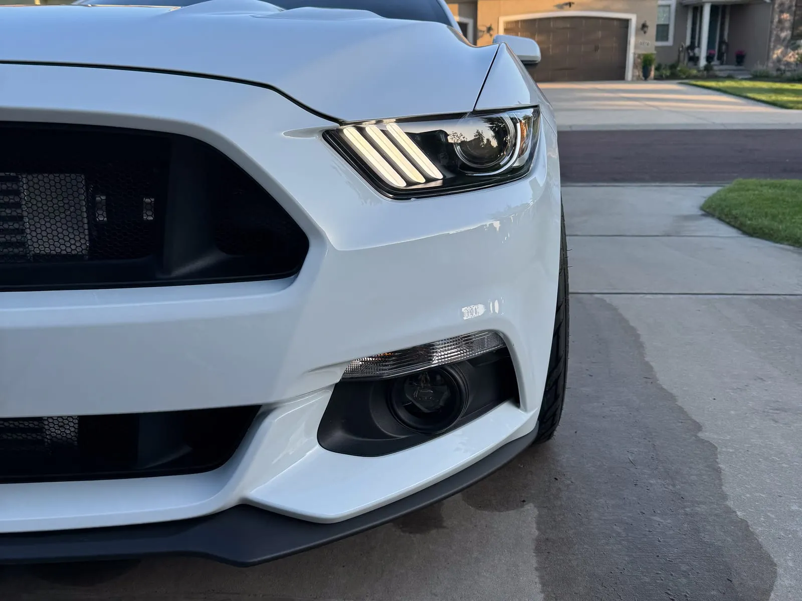 White Ford Mustang GT head-on in a driveway, grille and headlights cleaned